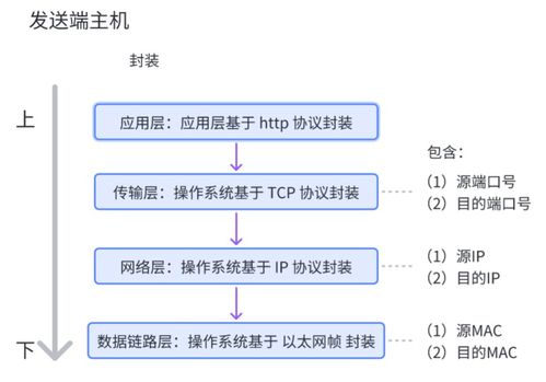 網絡通信基石 核心設備、關鍵技術及技術服務全景解析